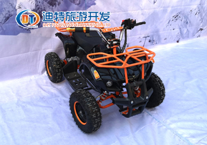 小型沙灘車(chē)